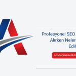 Profesyonel SEO Hizmeti Alırken Nelere Dikkat Edilmelidir?
