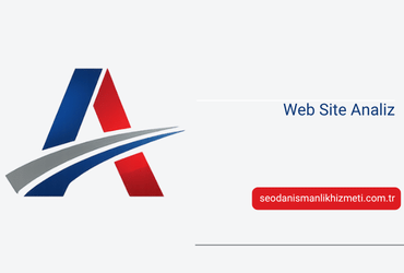 Web Site Analiz